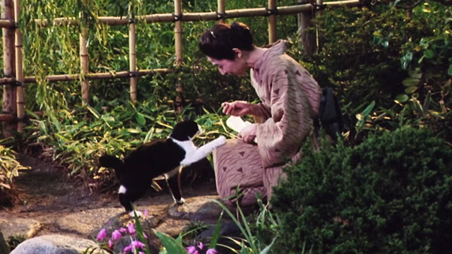 Madadayo - Professor Hyakken Uchida  wife Kyôko Kagawa feeding tuxedo cat Kurz in garden
