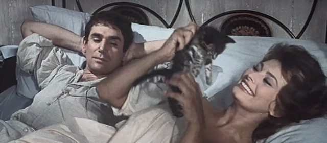 Madame Sans Gêne - Catherine Sophia Loren cuddling roughly a grey tabby kitten in bed with Lefebvre Robert Hossein