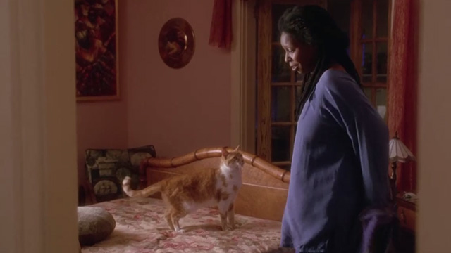 Made in America - orange and white cat standing on bed of Sarah Whoopi Goldberg