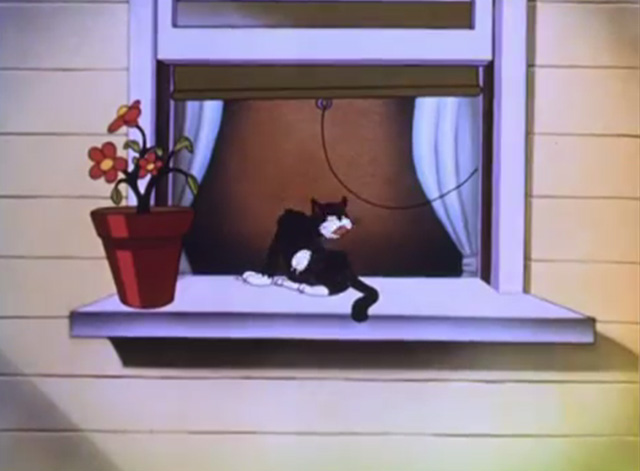 The Mad Hatter - cartoon black cat cleaning itself on windowsill