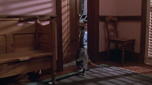 Madhouse - long-haired gray cat Scruffy running out of room and away from Mark John Larroquette