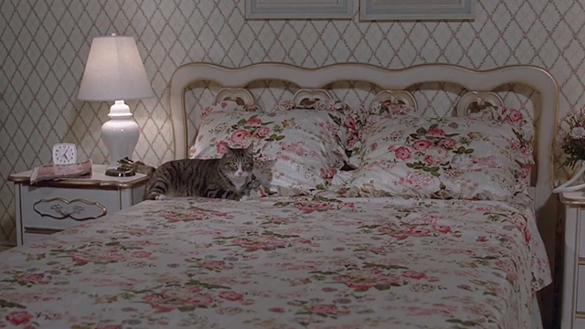 Magic - tabby cat lying on bed