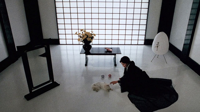 Magic Cop - Qu mo jing cha - longhair white cat and Sorceress Michiko Nishiwaki