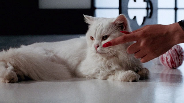 Magic Cop - Qu mo jing cha - longhair white cat and Sorceress Michiko Nishiwaki