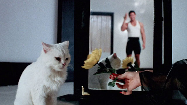 Magic Cop - Qu mo jing cha - longhair white cat and Eddie Frankie Chi-Leung Chan in background