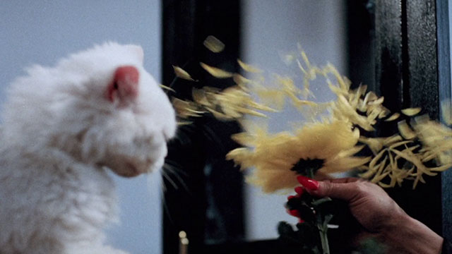 Magic Cop - Qu mo jing cha - longhair white cat with flower petals flying