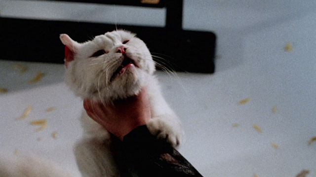 Magic Cop - Qu mo jing cha - longhair white cat being choked