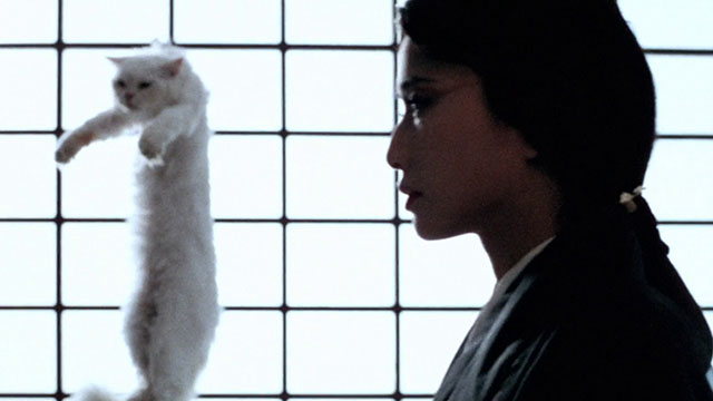 Magic Cop - Qu mo jing cha - longhair white cat hanging from harness and Sorceress Michiko Nishiwaki