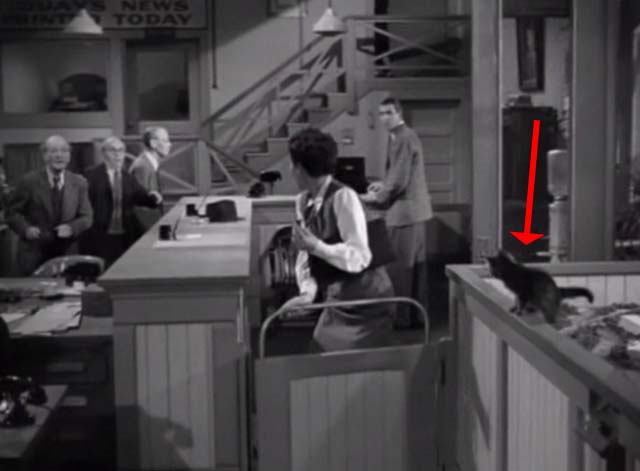 Magic Town - tabby kitten Panther in newspaper office with Jane Wyman and James Stewart