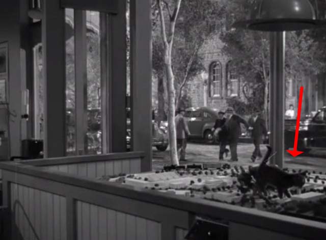 Magic Town - tabby kitten Panther on ledge by model city