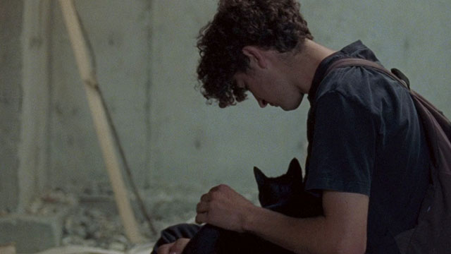 The Maiden - Kyle Jackson Sluiter holding black cat on lap