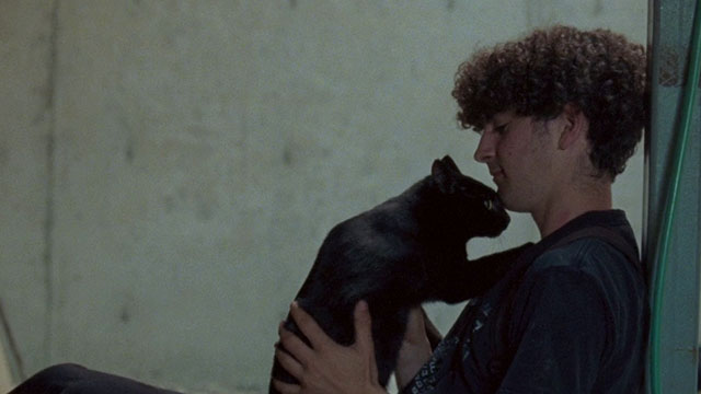 The Maiden - Kyle Jackson Sluiter holding black cat on lap