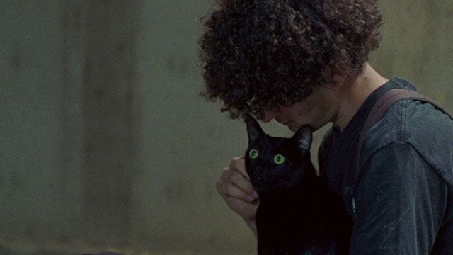 The Maiden - Kyle Jackson Sluiter holding black cat on lap