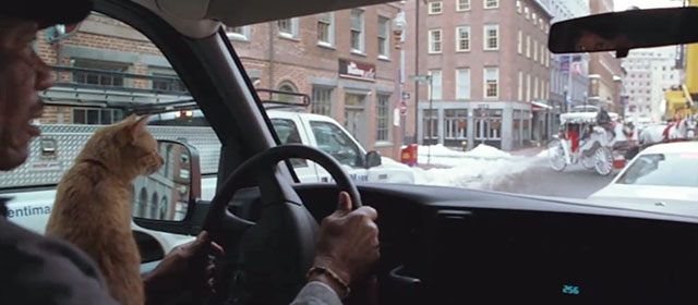 The Maiden Heist - Charles Morgan Freeman driving in van with ginger tabby cat Renoir