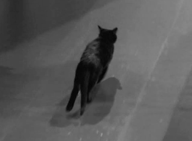 Make Mine a Million - black cat scurrying down corridor