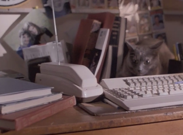 Malicious - gray cat sitting by phone and answering machine