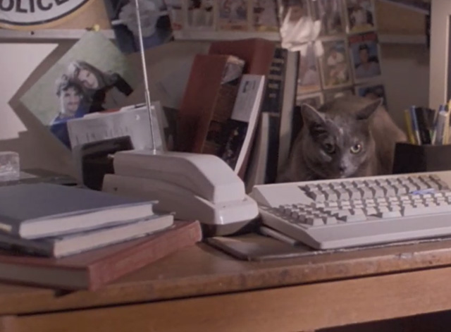 Malicious - gray cat sitting by phone and answering machine