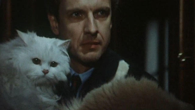 Malina - Mathieu Carrière carrying white and cream colored longhair cats