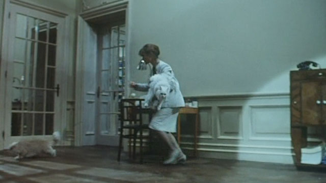 Malina - woman Isabelle Huppert chasing white and cream colored longhair cats