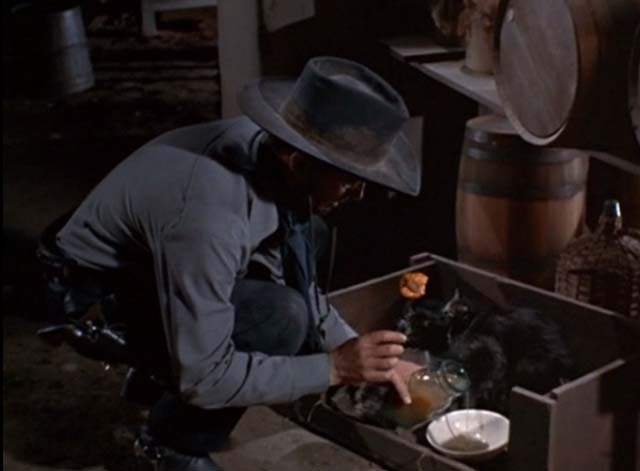 A Man Alone - Wes Steele Ray Milland pouring mama cat and tabby kittens some peach juice