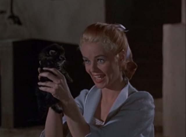 A Man Alone - Madine Mary Murphy holding up and talking to tabby kitten