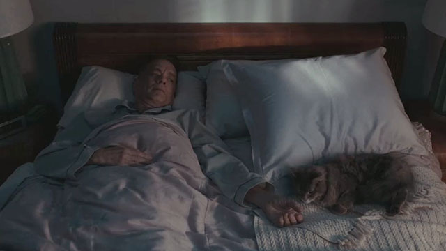A Man Called Otto - Otto Tom Hanks lying in bed with longhair tabby cat Schmagel