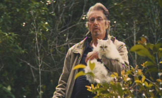 Manglehorn - white Angora cat Fanny and Manglehorn Al Pacino watching dancers