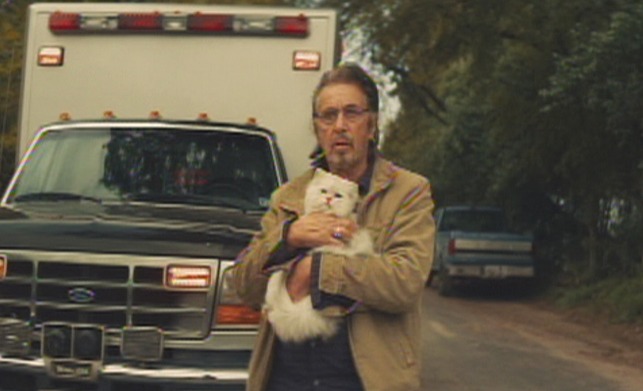 Manglehorn - white Angora cat Fanny and Manglehorn Al Pacino by ambulance