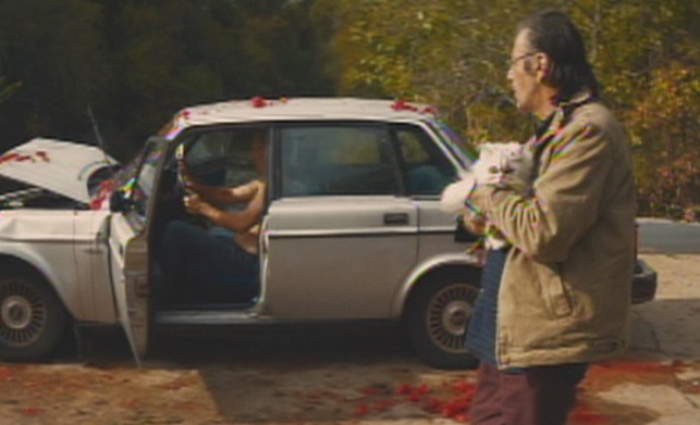 Manglehorn - white Angora cat Fanny and Manglehorn Al Pacino walking past accident