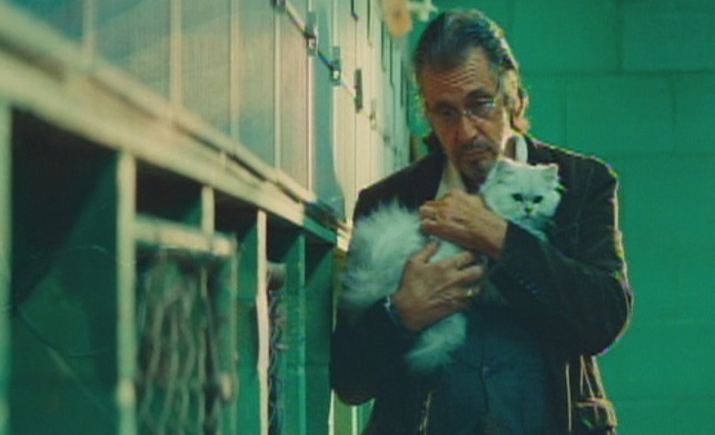 Manglehorn - Manglehorn Al Pacino sings to white Angora cat Fanny