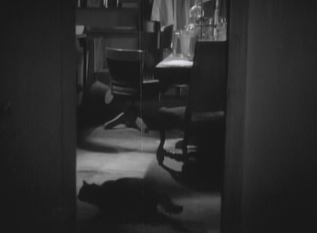 Maniac - black cat Satan running through lab