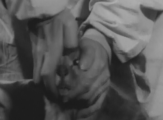 Maniac - Don squeezing Satan cat's eye out