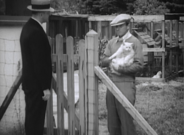 Maniac - rube neighbor greets inspector holding white Angora cat