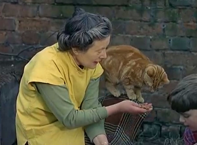 Miss Nancy Morton feeding cat