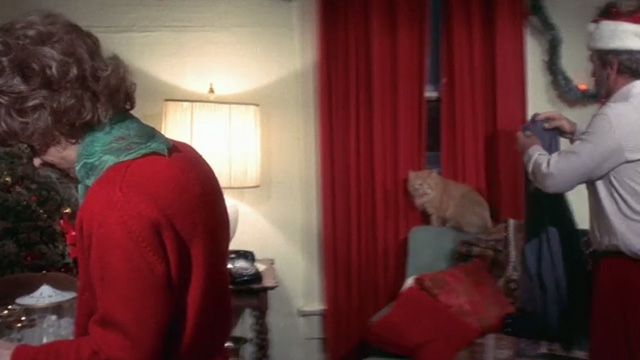 The Man Who Fell to Earth - long-haired orange tabby cat sitting by window with Mary-Lou Candy Clark