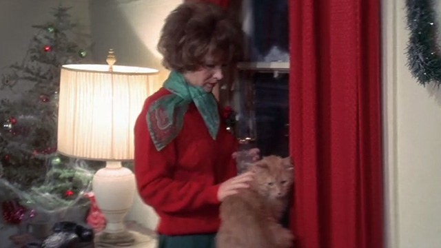 The Man Who Fell to Earth - long-haired orange tabby cat sitting by window with Mary-Lou Candy Clark