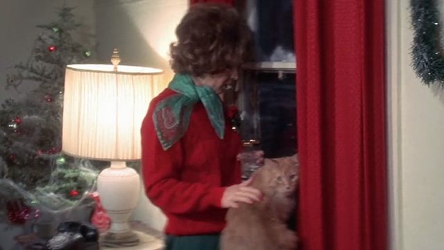 The Man Who Fell to Earth - long-haired orange tabby cat sitting by window with Mary-Lou Candy Clark