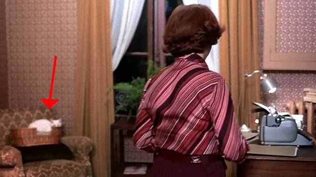 The Man Who Loved Women - white cat sitting in basket on chair in background