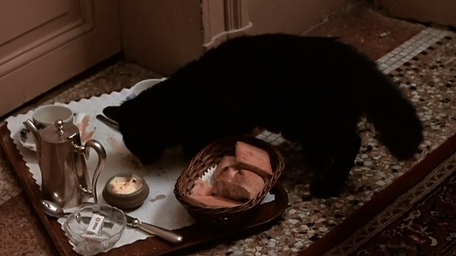 The Man Who Loved Women - black cat eating food from tray outside hotel room