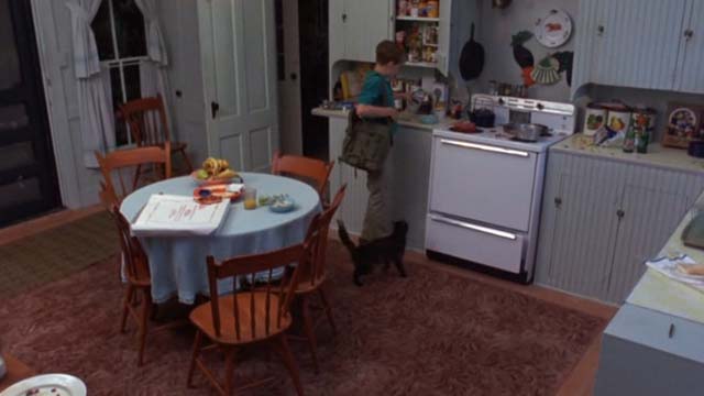 The Man Without a Face - Chuck Nick Stahl with tortoiseshell cat Mac in kitchen