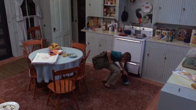 The Man Without a Face - Chuck Nick Stahl feeding tortoiseshell cat Mac