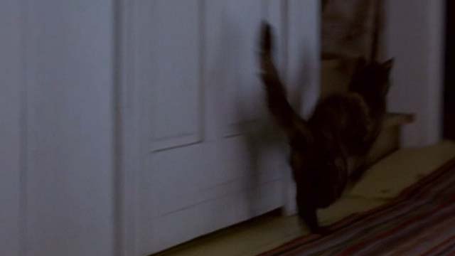 The Man Without a Face - tortoiseshell cat Mac running down hall