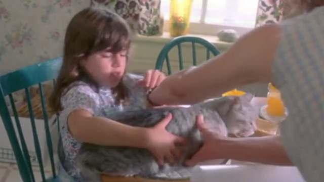 A Map of the World - silver tabby cat being taken off kitchen table with Emma Dara Perlmutter
