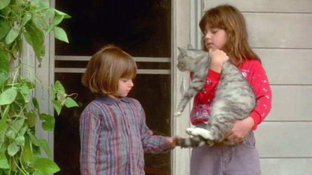 A Map of the World - silver tabby cat being held outside by Emma Dara Perlmutter with Claire Kayla Perlmutter