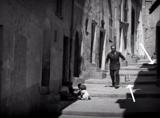 Mare Nostrum - two cats on street during chase