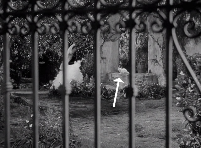 The Mark of Zorro - Lolita Quintero Linda Darnell approaching white cat on bench