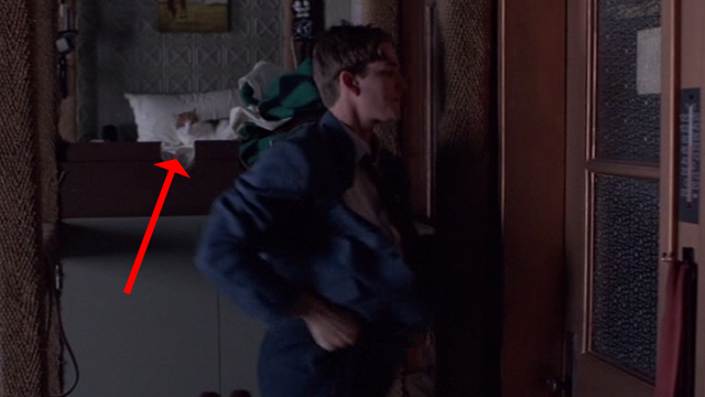 Married to the Mob - Downey Matthew Modine out of bed with orange and white cat in background