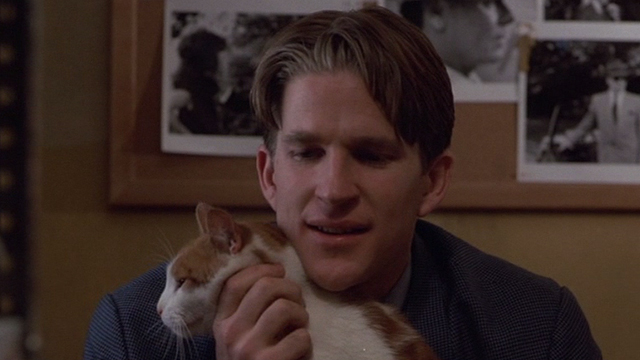 Married to the Mob - close up of Downey Matthew Modine holding orange and white cat