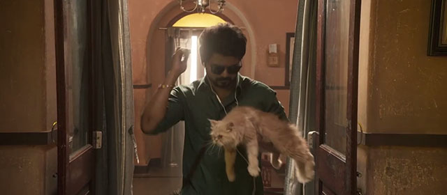 Master - cream Persian cat being carried by JD Thalapathy Vijay