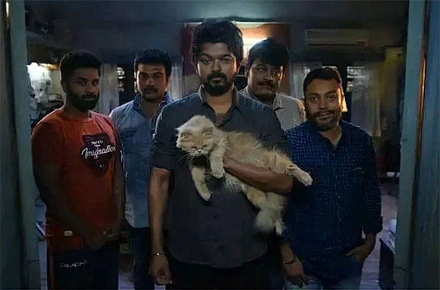 Master - cream Persian cat held by JD Thalapathy Vijay with fellow cast members